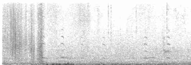 Brown Skua (Subantarctic) - ML534392311