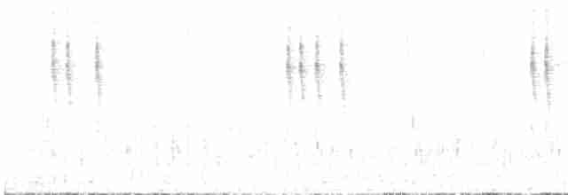 Troglodyte de Baird - ML534393761