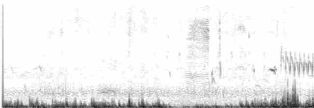 Grass Wren (Austral) - ML534437881
