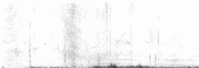 Long-tailed Meadowlark - ML534438151