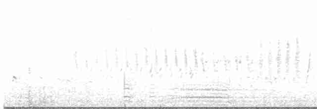 Magellanic Woodpecker - ML534445031