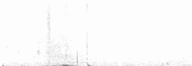 Rufous Nightjar - ML534504871