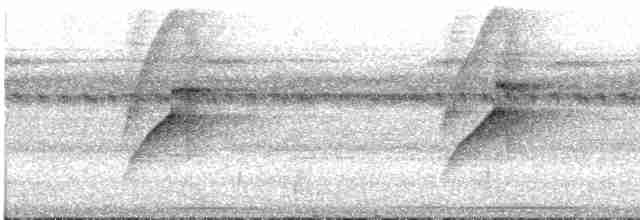 Turuncu Gözlü Yassıgaga - ML534505141