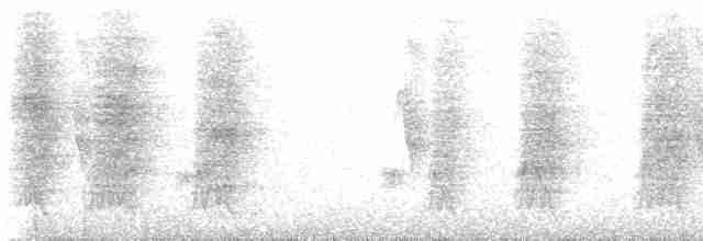 Сичик-горобець болівійський - ML534565