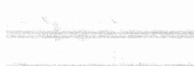 Белокрылый бекард - ML534567201