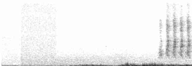 furuskrike (diademata gr.) - ML53457351