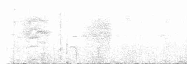Gray-headed Antbird - ML534635471