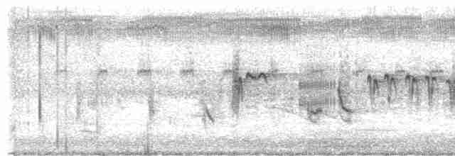 Australian Reed Warbler - ML534711641
