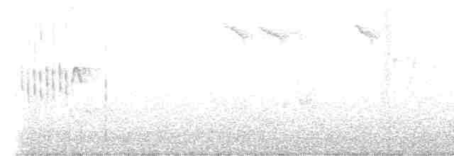 Eurasian Wren - ML534715411