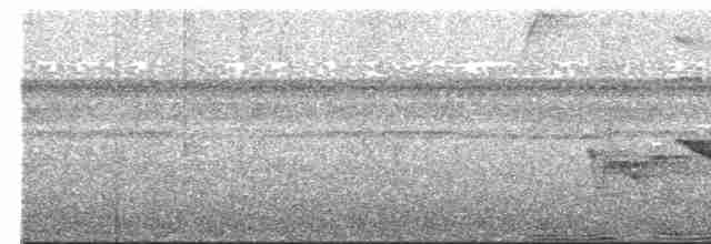 Rotschnabel-Stärlingstangare - ML534742841