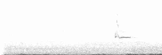 Great Gray Shrike (Sahara) - ML534756291