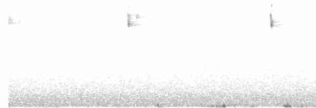 Sperlingsvogel, unbestimmt - ML534771991