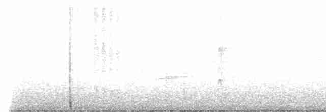 strakapoud osikový - ML534802331