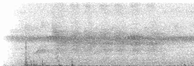 Ak Karınlı Tepeli Sinekkapan (albiventris) - ML534816
