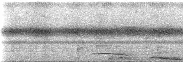 Bar-tailed Trogon - ML534828