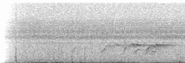 Монарх-довгохвіст іржастий (підвид tricolor/neumanni) - ML534831