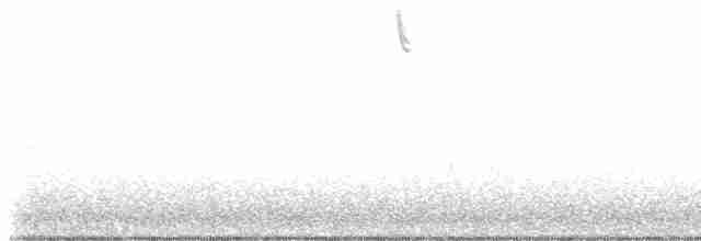 Grasshopper Sparrow - ML534851961