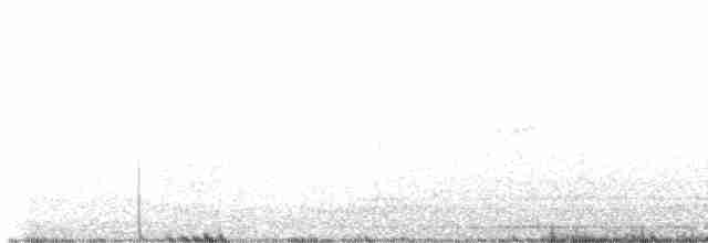 Black-bellied Plover - ML534904771
