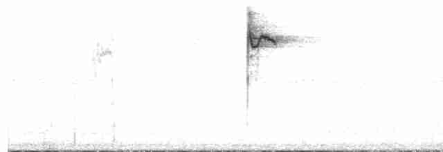 Paruline à paupières blanches - ML534925531