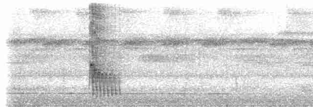 Kuzeyli Kestanerengi Karıncakuşu (hemimelaena) - ML534926801