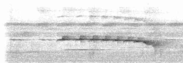sørkastanjemaurfugl (hemimelaena) - ML534926991