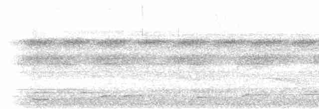 Rotschwanz-Ameisenvogel (hemimelaena) - ML534927031