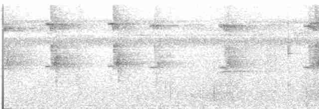Светлобрюхий колибри-отшельник - ML534928351