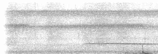 Little Tinamou - ML534931131