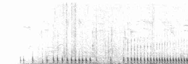  - Yellow-nosed Albatross (Atlantic)