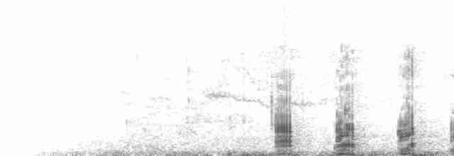  - Royal Albatross (Southern)