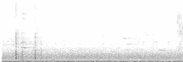 Veilchenschwalbe - ML534955451