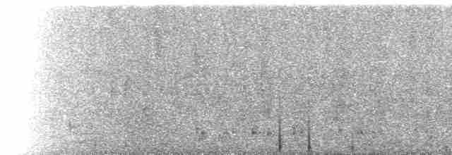  - Parkinson's Petrel