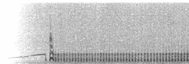  - Ainley's Storm-Petrel