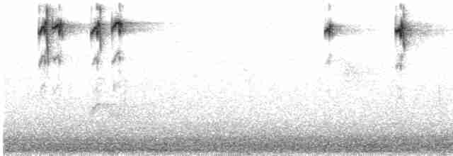 Сероголовая гаичка - ML535006841