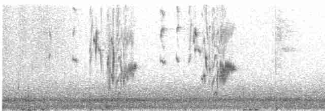 Сероголовая гаичка - ML535006901