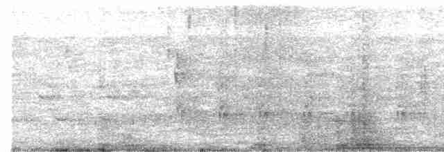 Ошейниковый зимородок - ML535018031