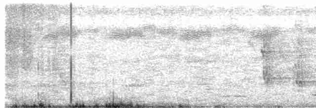 Ошейниковый зимородок - ML535018091