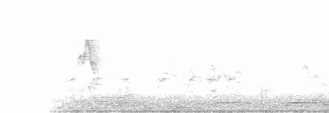 Greenish Warbler - ML535025851