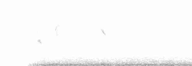 Greenish Warbler - ML535047071