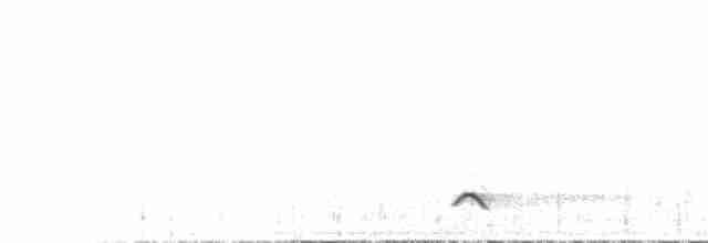 Пустынный жаворонок - ML535077601