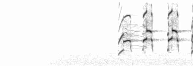  - Common Black Hawk (Common)