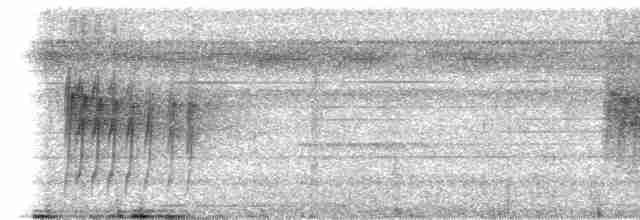 Schwarzschnabel-Ameisenvogel - ML535112131