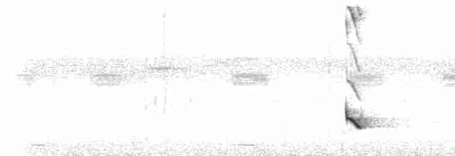 Tepeli Karıncakuşu - ML535131611