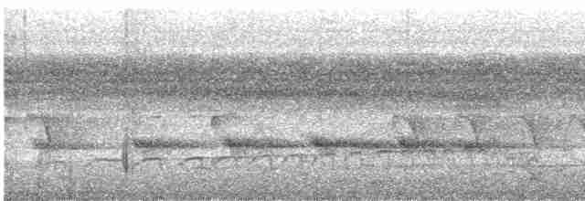 Синелобая якамара - ML535132071