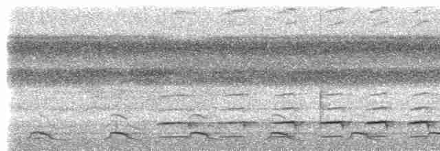Black-tailed Trogon - ML535134221