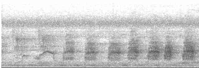Nahan's Partridge - ML535147761