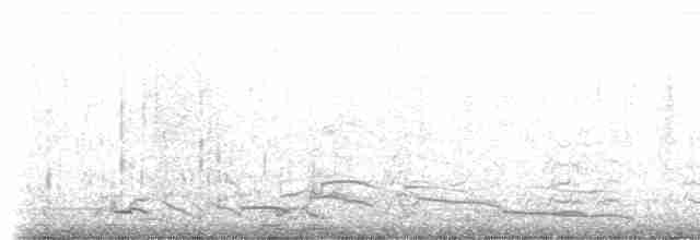 Silbermöwe (Kanadamöwe) - ML53515601