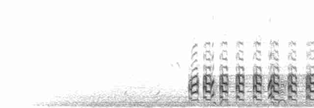  - Spot-flanked Gallinule