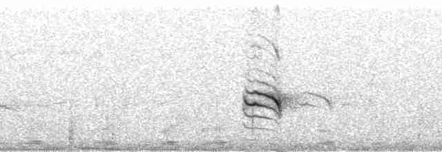 Пестрогорлая юхина - ML53519