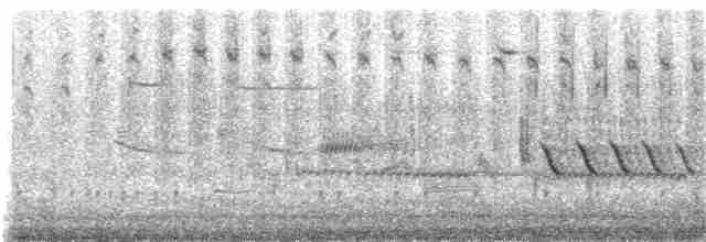 Common Merganser (North American) - ML53519311